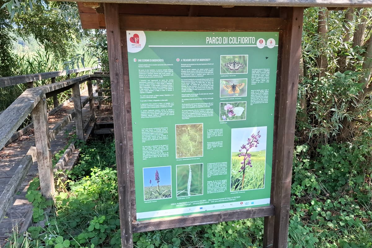 parco-regionale-colfiorito-cartello-informativo parco regionale colfiorito foligno