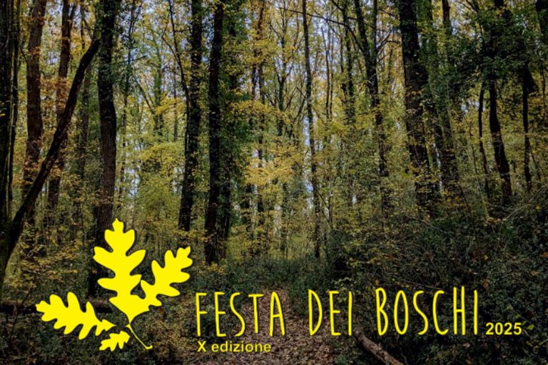 festa dei boschi umbria