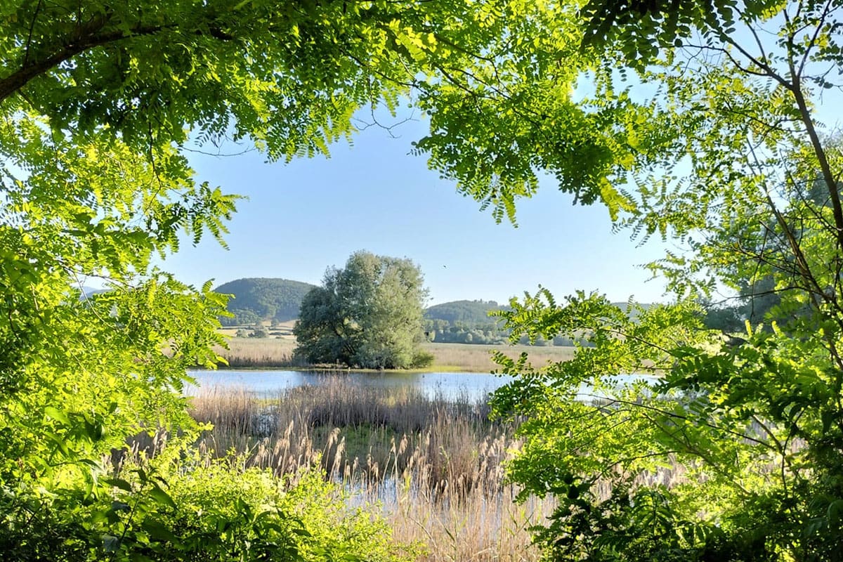 parco-colfiorito-palude palude del parco di colfiorito