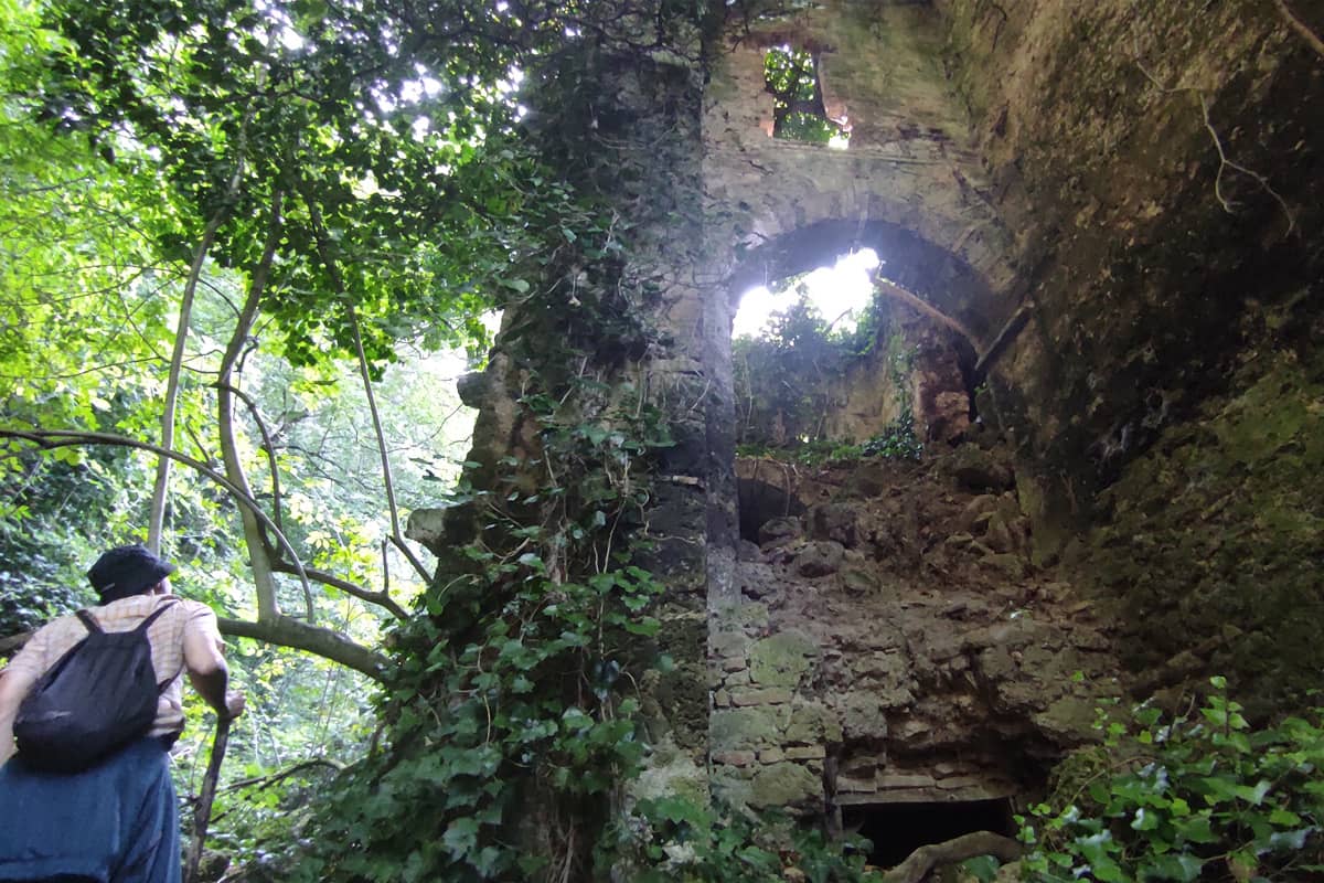 ruderi-villa-elisei-pale